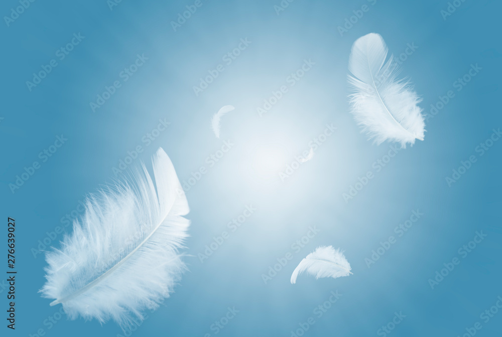 White feathers floating in a blue sky. White feathers floating in a blue sky.
