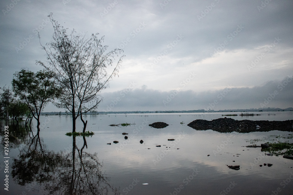 winter landscape with trees and lake winter landscape with trees and lake