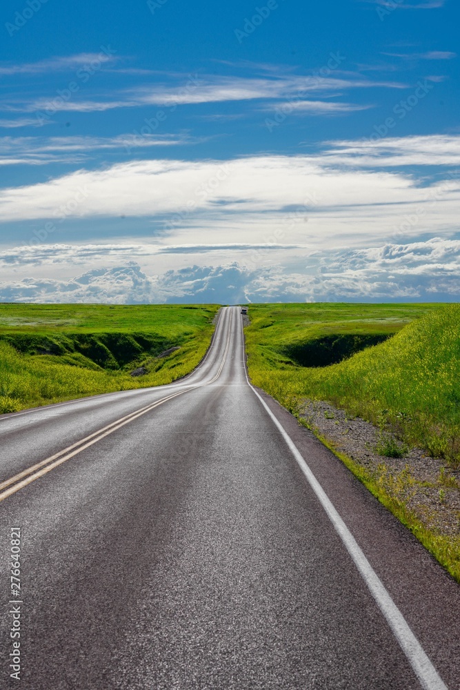 Fototapeta premium Highway Through Badlands of South Dakota