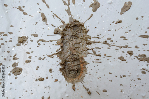 traces of shoes in the dirt, spray and sand