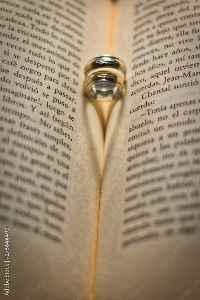 Fototapeta premium Amor anillos