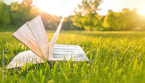Fototapeta Naklejka Na Ścianę i Meble -  Open book in green grass background. Summer reading, Hobbies on vacation concept. Reading books with pleasure on journey. abstract green summer meadow and book. soft selective focus