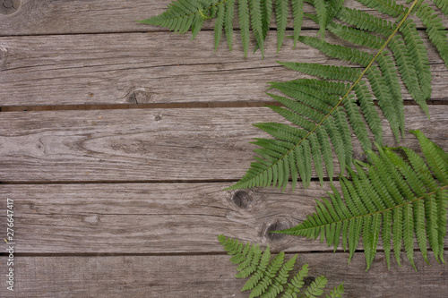 Fern leaves fern on the background of the old wooden background. Copy space. View from above.
