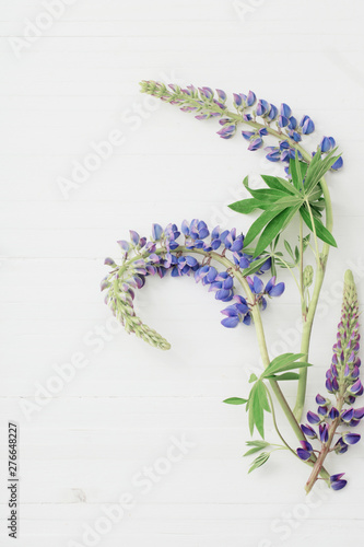 lupine on white wooden background