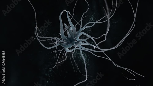 Processes of brain neurons dendrites as a source of the greatest electrical activity of the human brain.