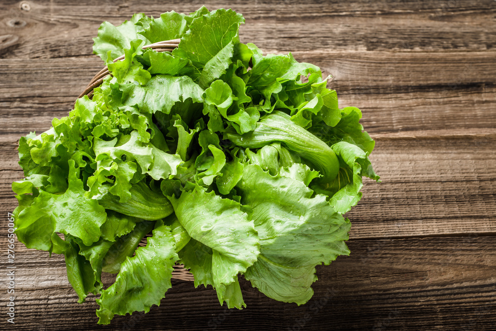 Farm fresh vegetables. Freshly harvested organic lettuce leaves, green lettuce on farmer market. Farm fresh vegetables. Freshly harvested organic lettuce leaves, green lettuce on farmer market.