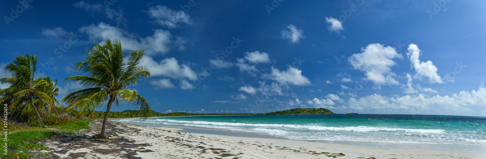 panorama on beach cost in the  Caribbean sea Martinique Island