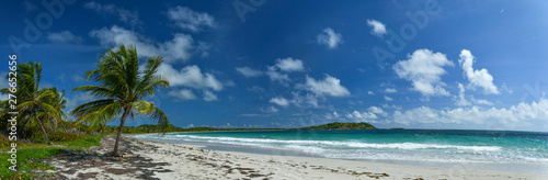 panorama on beach cost in the  Caribbean sea Martinique Island © Guillaume Leray