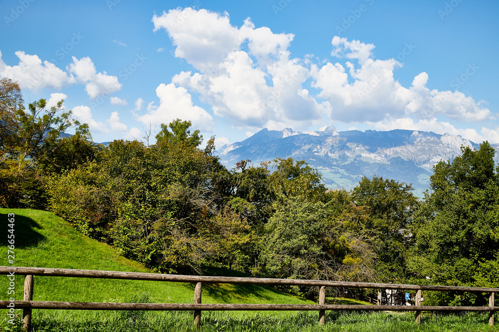 Mountains with trees and sky with clouds over them in a good summer day