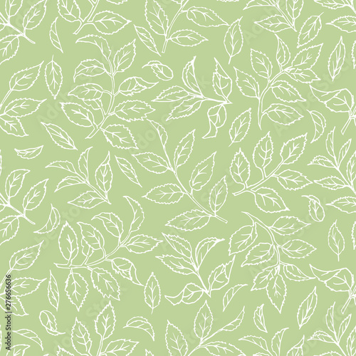 Seamless abstract natural pattern hand drawn isolated. White line summer green leaves and branches of dog rose. For textile, packaging or wallpaper. Vector illustration