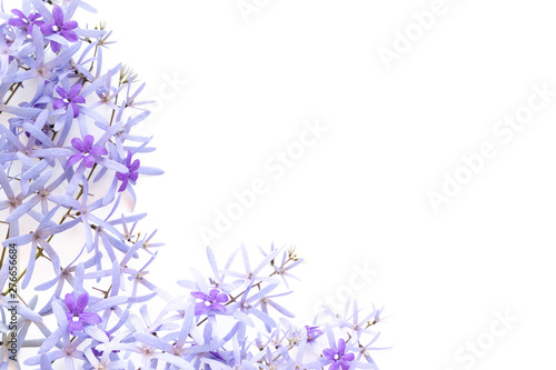 Frame made of purple flowers  on white  background. Flat lay  top view