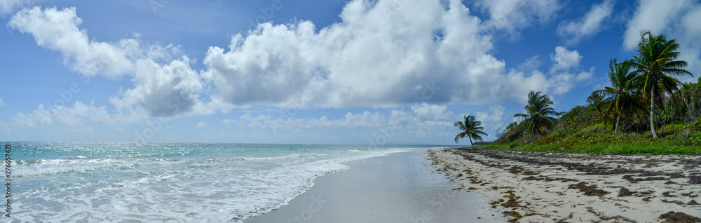 sea and blue sky beach of tropical sea in the Caribbean Martnique island