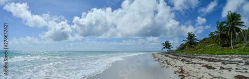 sea and blue sky beach of tropical sea in the Caribbean Martnique island