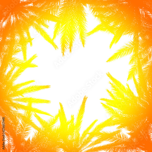 Silhouette of palm leaves with a bright summer gradient on a light background. Concept tropic, vacation and travel. Abstraction