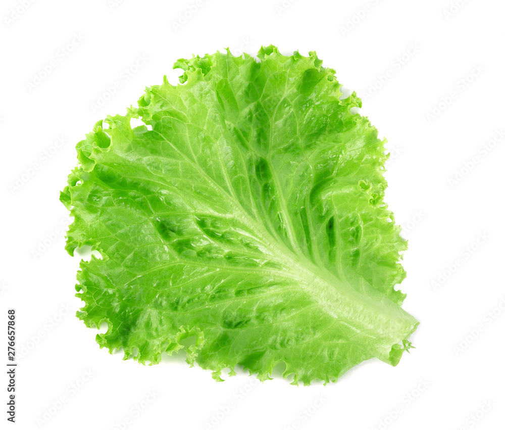 Salad leaf. Lettuce isolated on white background Salad leaf. Lettuce isolated on white background