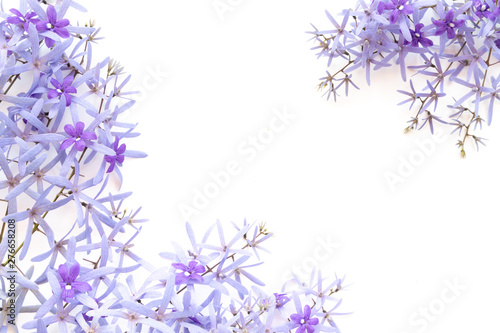 Frame made of purple flowers on white background. Flat lay, top view