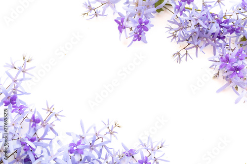 Frame made of purple flowers  on white  background. Flat lay, top view