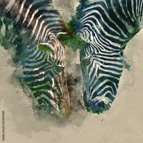 Digital watercolor painting of Beautiful vibrant intimate close up portrait of Chapman s Zebra Equus Quagga Chapmani