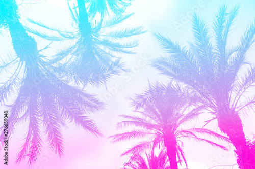 Silhouette of palm trees with a bright summer gradient on a bright blue background of the summer sky. Mirror reflection. Concept tropic, vacation and travel. Abstraction