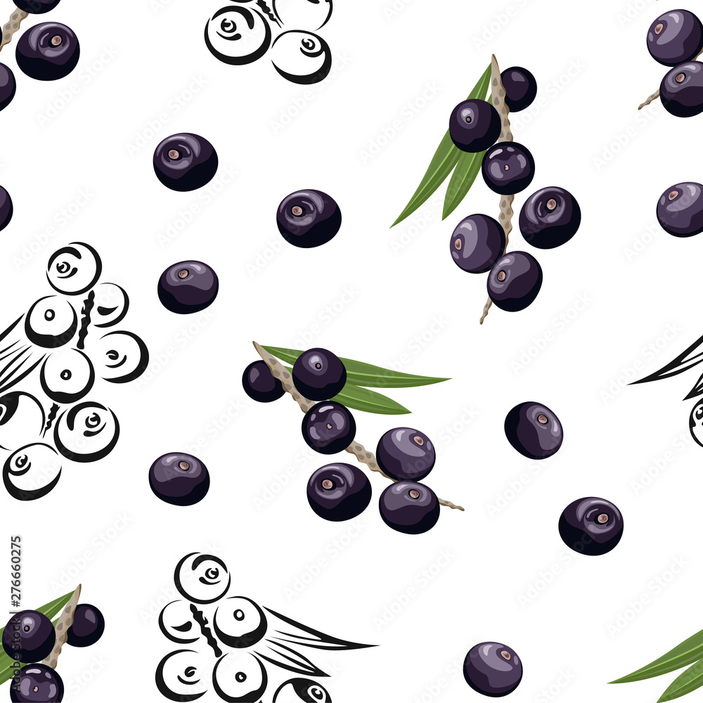Acai seamless pattern. Dark berries with green leaves on white background. Vector color illustration in cartoon flat style and black and white outline. Acai seamless pattern. Dark berries with green leaves on white background. Vector color illustration in cartoon flat style and black and white outline.