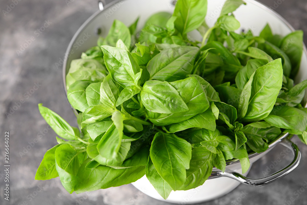 Colander with fresh green basil on table, closeup Colander with fresh green basil on table, closeup