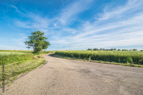 Green field with agriculture meadow and blue sky. Panoramic view to grass on the hill on sunny spring day