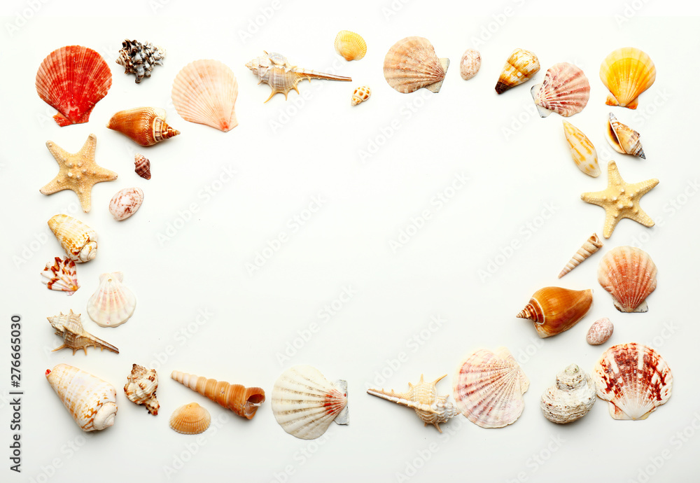 Obraz premium Frame made of beautiful sea shells on white background