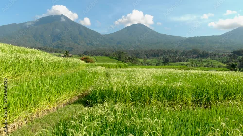 Grassland , with mountains in the background. Grassland , with mountains in the background.