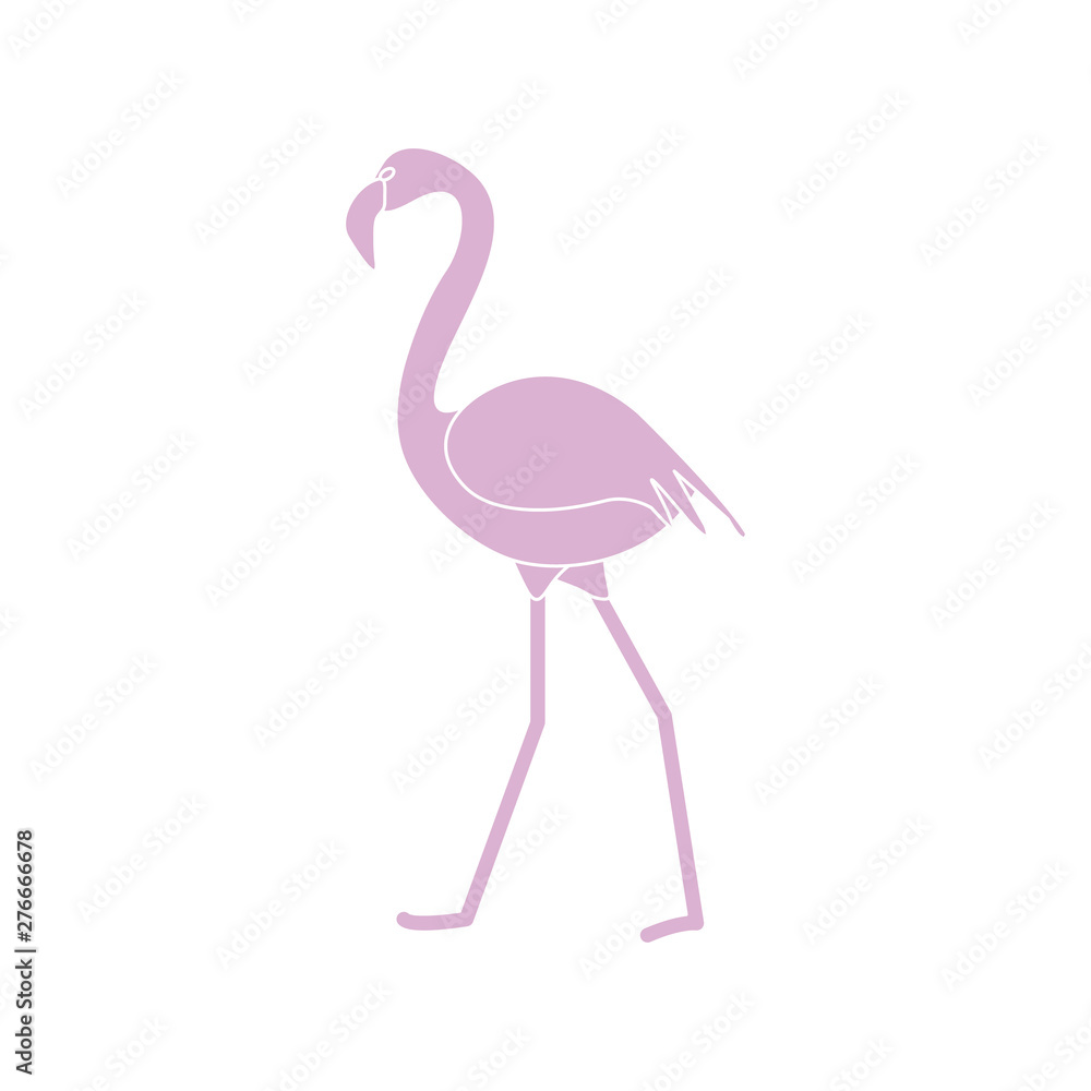 Fototapeta premium Exotic tropical bird flamingo.