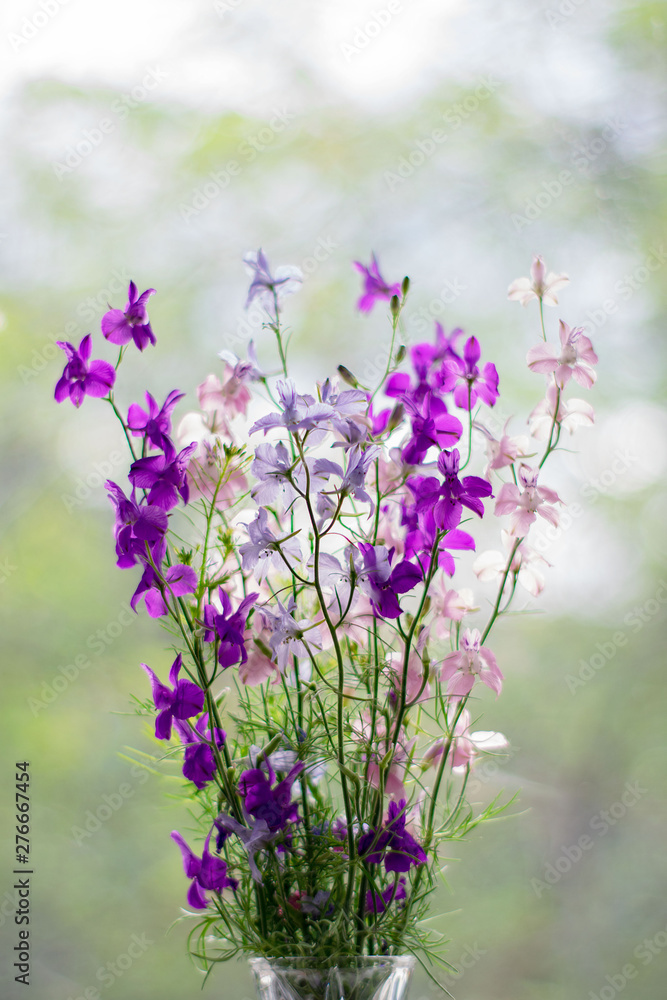 Obraz premium Bouquet of different flowers in a vase on bokeh background with sunlight pattern. Postcard concept