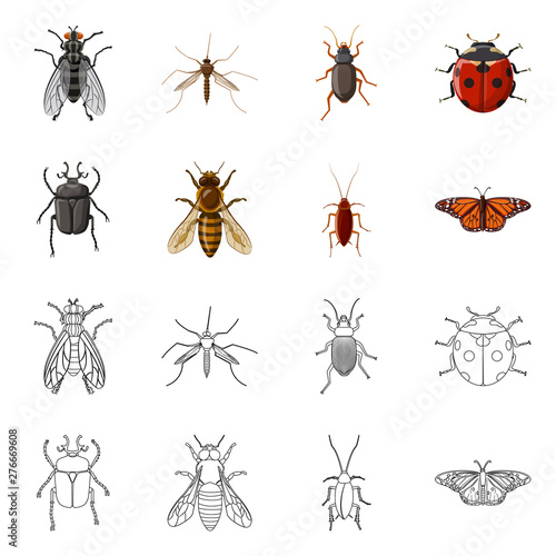 Vector design of insect and fly sign. Collection of insect and element stock symbol for web. © Svitlana