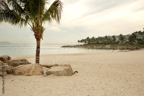 Sandy beach with palm trees and stones