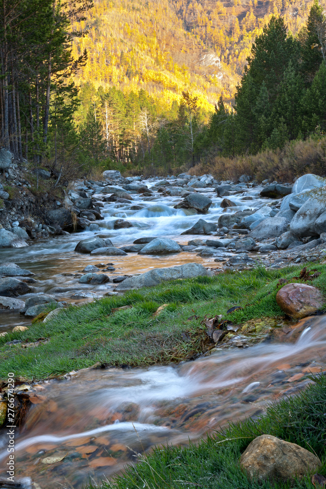 Mountain river on a background of yellow forest in the foothills of the Eastern Sayans on an autumn afternoon. Beautiful natural background Mountain river on a background of yellow forest in the foothills of the Eastern Sayans on an autumn afternoon. Beautiful natural background