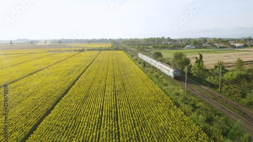 Treno passeggeri sta transitando dalla ferrovia oltre un campo di girasoli gialli photo