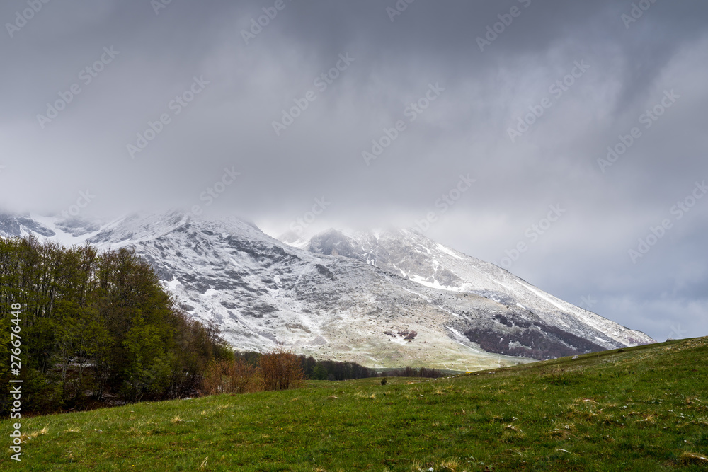Montenegro, Colorful green meadow and trees of forest in contrast to white snow covered mountains of durmitor national park nature landscape hidden in clouds in spectacular light
