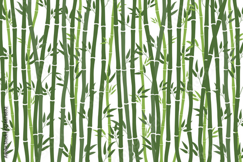 Fototapeta Naklejka Na Ścianę i Meble -  Abstract background - bamboo forest. Green drawing of bamboo stalks on a white background. Vector illustration