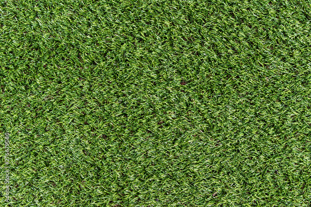 Obraz premium Texture Grass Green