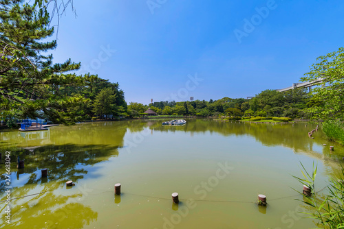 千葉公園の綿打池の風景