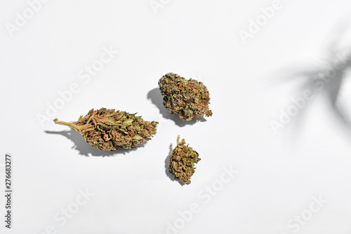 Dry marijuana buds isolated on white background. Traditional herbal medicine, alternative medicine