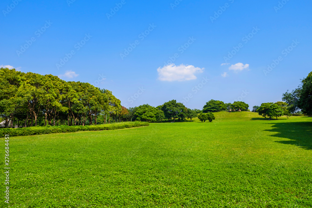 Obraz premium 千葉ポートパークの風景