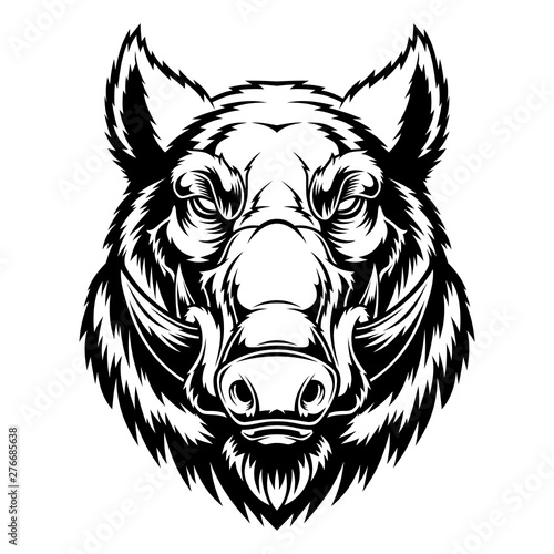 Wild boar head mascot.