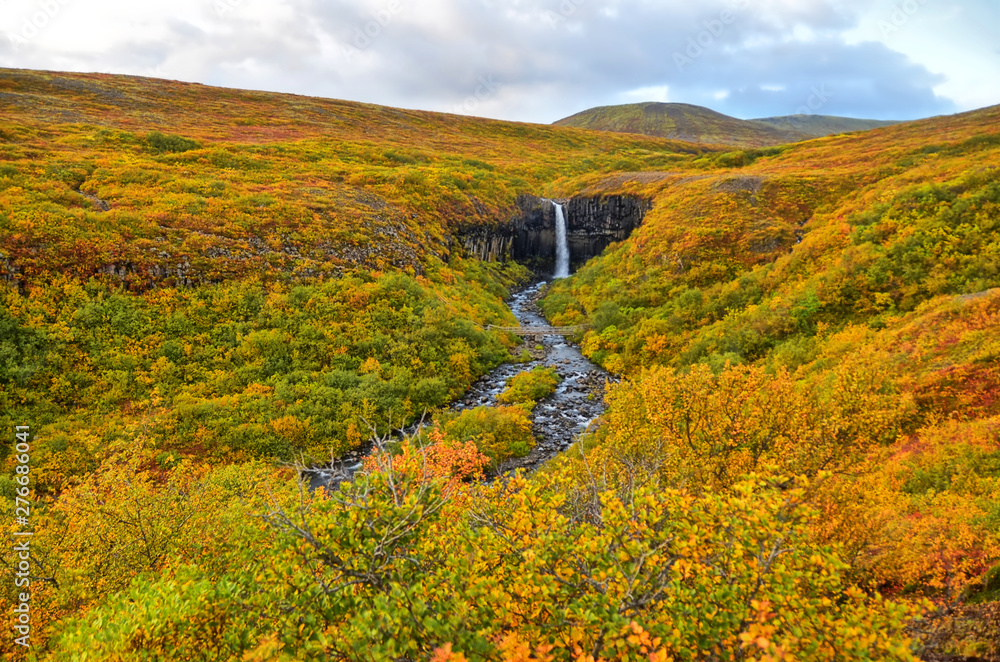 Svartifoss (Black Falls)  -  waterfall in Skaftafell in Vatnajökull National Park in Iceland,