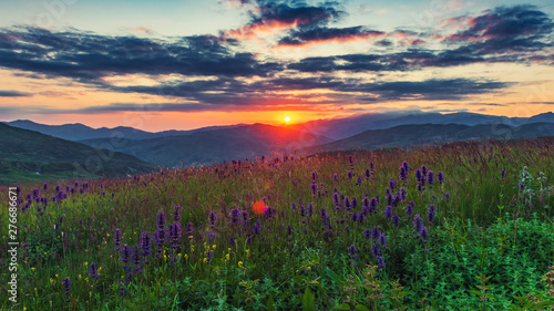 Mountain lavender flowers during a colorful sunset © Vastram