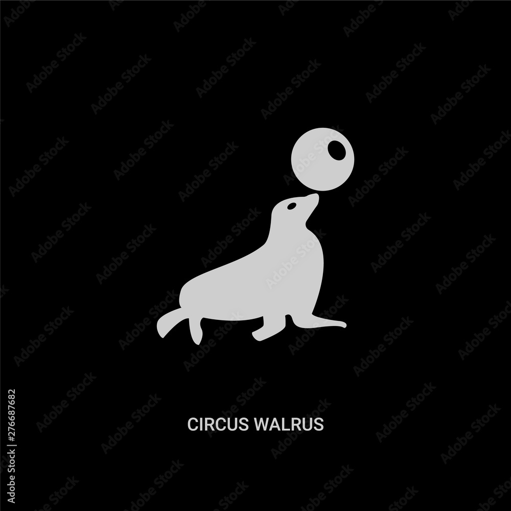 Fototapeta premium white circus walrus vector icon on black background. modern flat circus walrus from circus concept vector sign symbol can be use for web, mobile and logo.