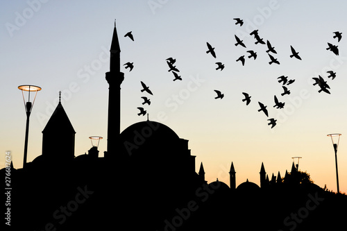 Mevlana Museum Collection Of Pigeons photo