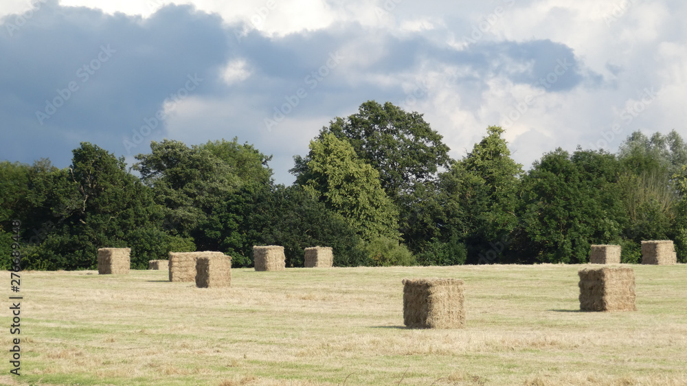 Summer Solstice, long days and sunny hot weather in England 2 Summer Solstice, long days and sunny hot weather in England 2