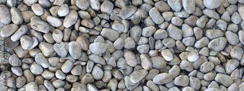 pebble gray colors, seamless texture