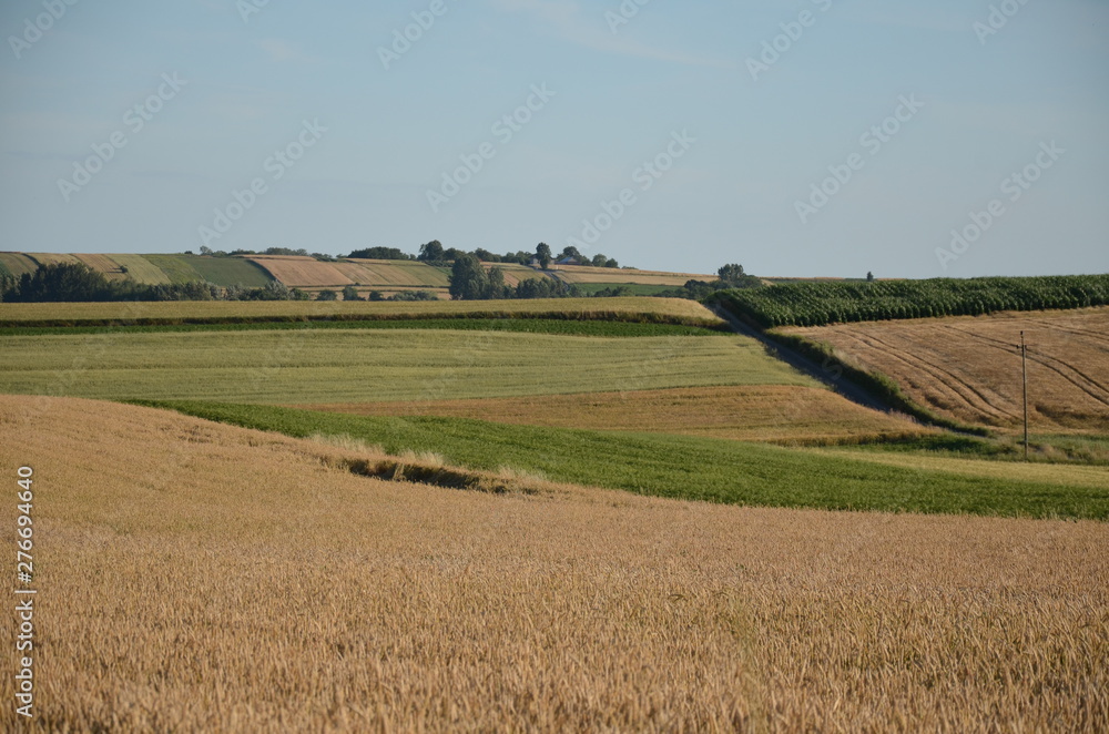 Fototapeta premium krajobraz, pola, niebo, charakter, gras, rolnictwa, lato, hayfield, zieleń, obszarów wiejskich, countryside, farma, drzew, blękit, kraj, drzew, górka, chmura, pola, rolnictwa, jary, chmura, kraina, zi