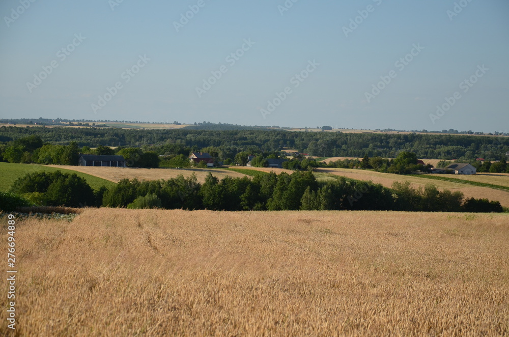 krajobraz, pola, niebo, charakter, gras, rolnictwa, lato, hayfield, zieleń, obszarów wiejskich, countryside, farma, drzew, blękit, kraj, drzew, górka, chmura, pola, rolnictwa, jary, chmura, kraina, zi krajobraz, pola, niebo, charakter, gras, rolnictwa, lato, hayfield, zieleń, obszarów wiejskich, countryside, farma, drzew, blękit, kraj, drzew, górka, chmura, pola, rolnictwa, jary, chmura, kraina, zi