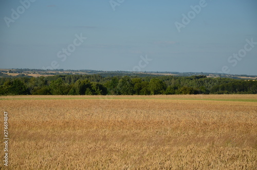 krajobraz  pola  niebo  charakter  gras  rolnictwa  lato  hayfield  ziele    obszar  w wiejskich  countryside  farma  drzew  bl  kit  kraj  drzew  g  rka  chmura  pola  rolnictwa  jary  chmura  kraina  zi